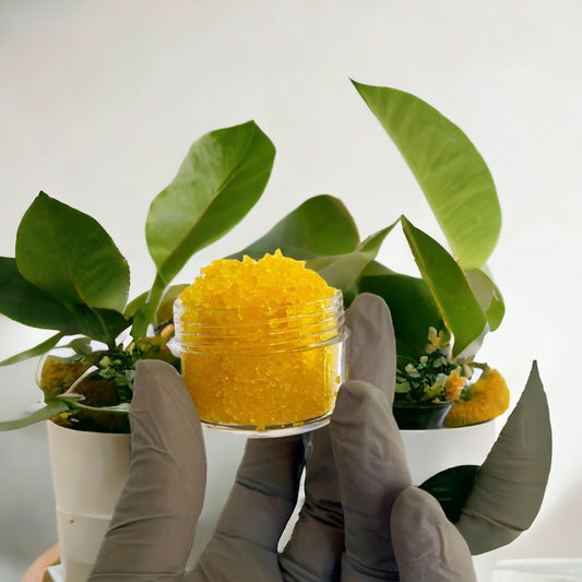 ✨ Glow Lip Scrub ✨